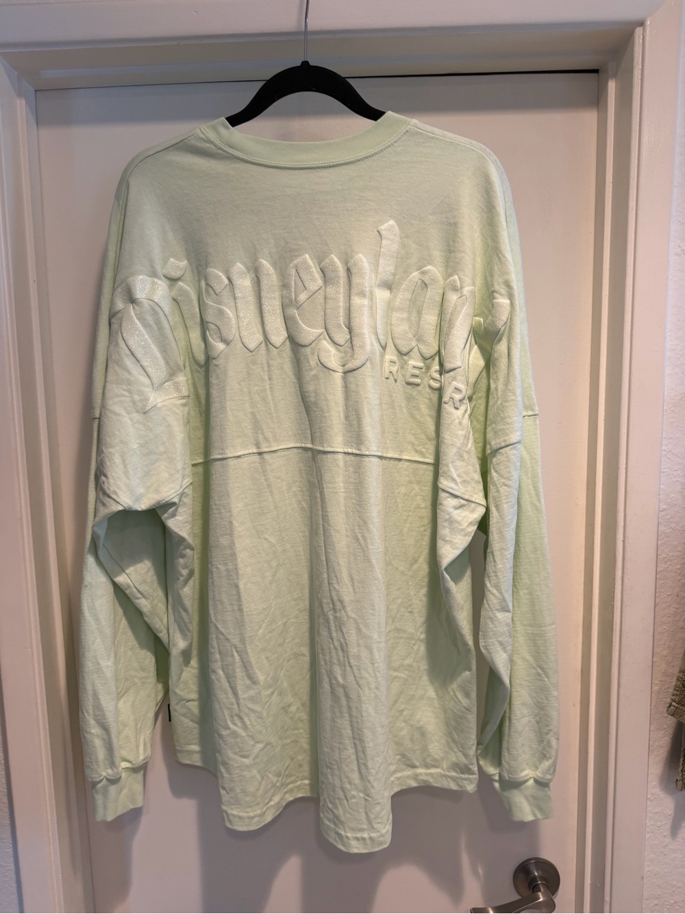Disney Glitter Spirit Jersey